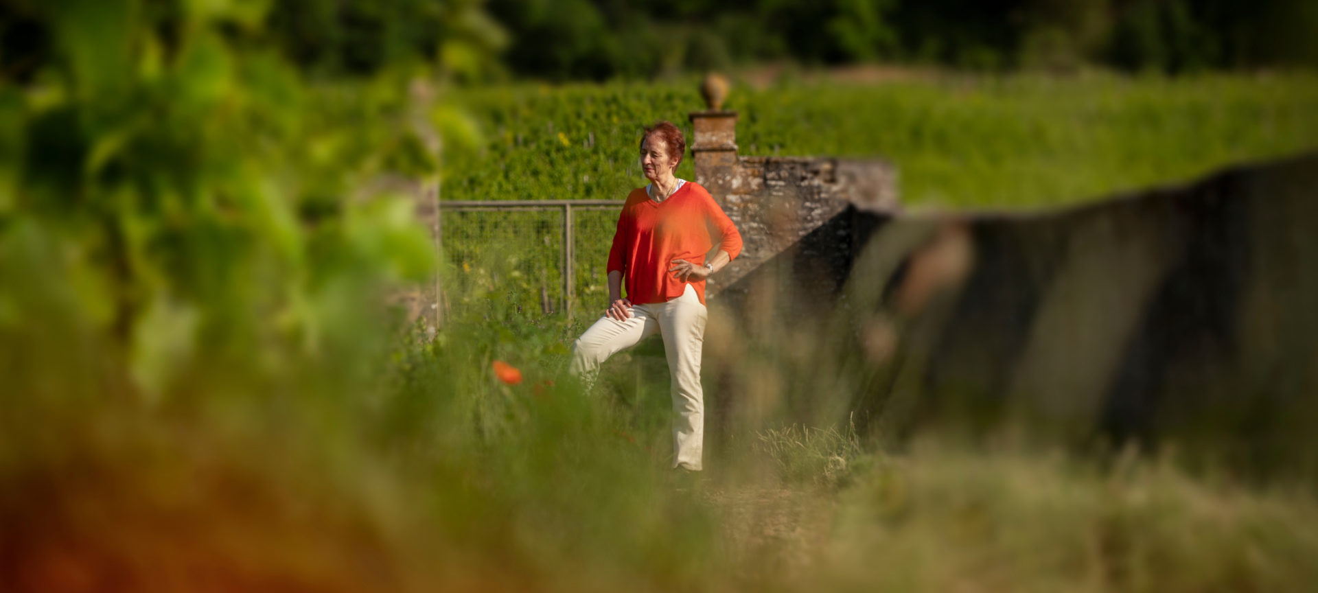 chantal tortochot domaine tortochot