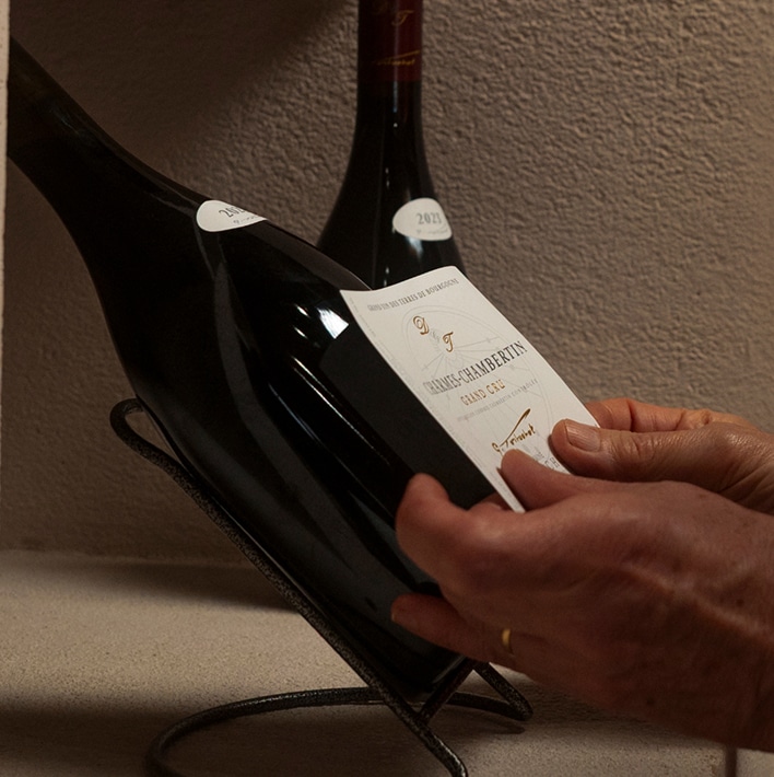 charmes chambertin grand cru domaine tortochot