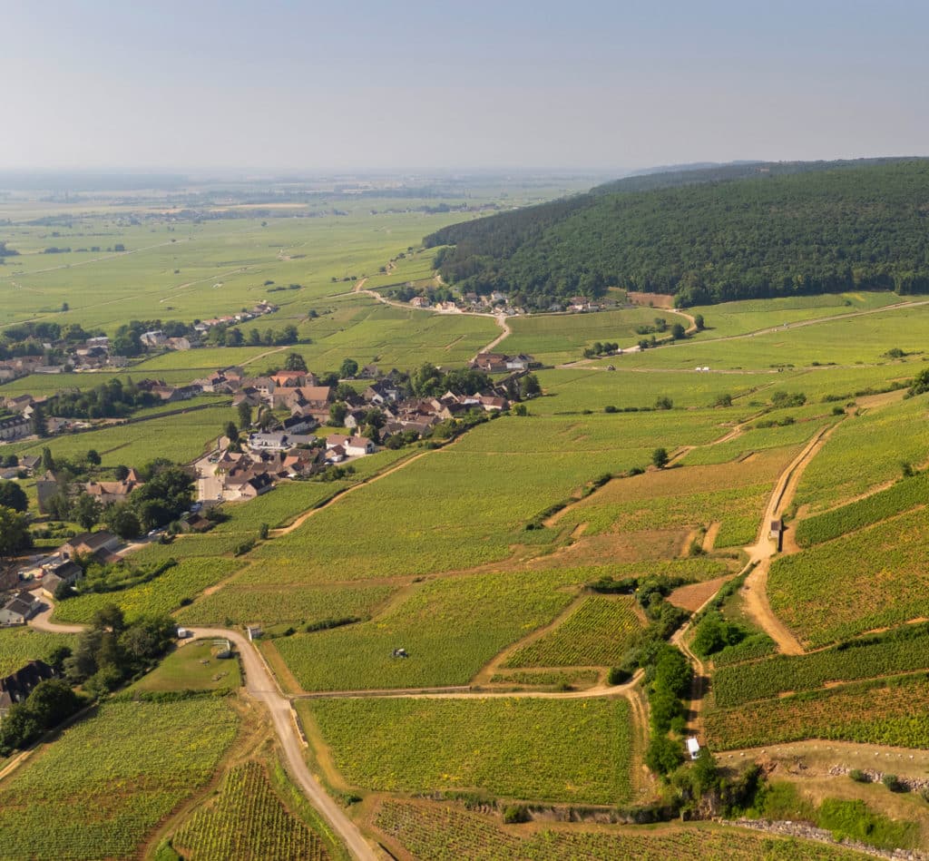 corton charlemagne domane