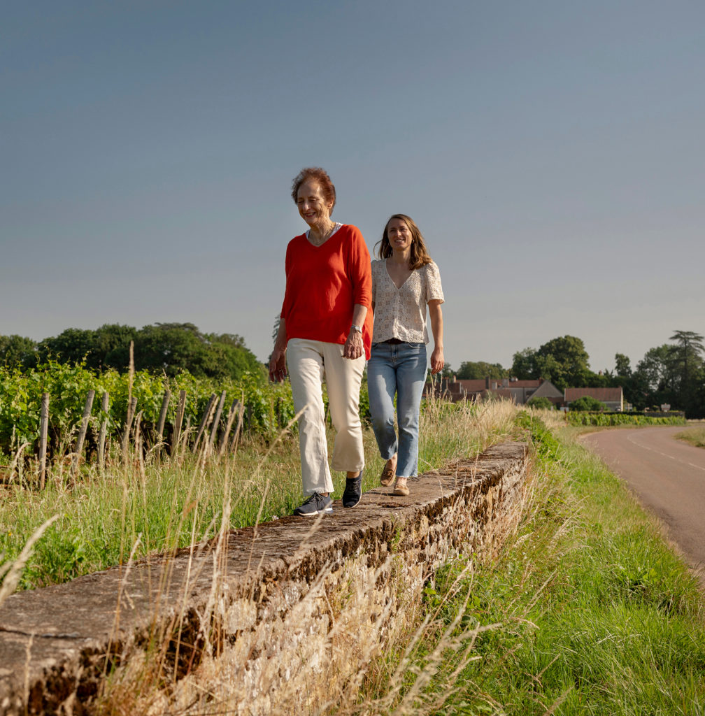 domaine tortochot grands vins de bourgogne gevrey chambertin