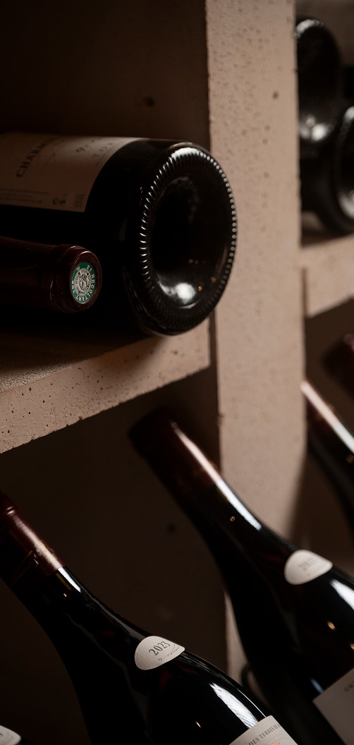 domaine tortochot vins de bourgogne