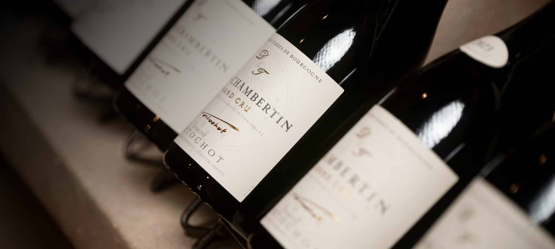 gamme de vins domaine tortochot