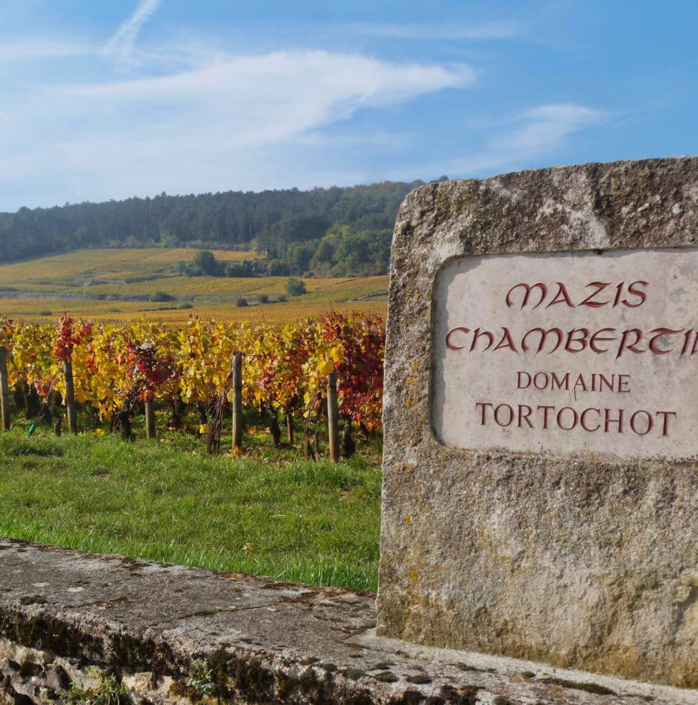 mazis chambertin domaine tortochot